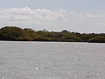 P2174758.JPG