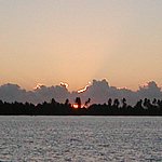 P2184770.JPG