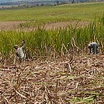 P2184794.JPG