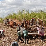 P2184800.JPG