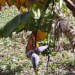 P2184814.JPG