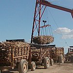 P2184839.JPG