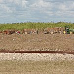 P2184840.JPG