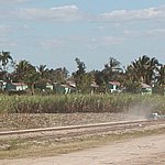 P2184846.JPG