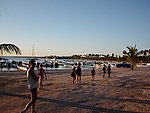 P2194853.JPG