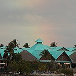 P2194856.JPG