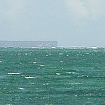 P2194869.JPG