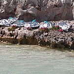 P2194896.JPG