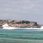 P2194897.JPG