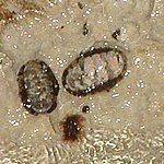 P2194910.JPG
