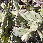 P2194911.JPG