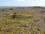 P2194914.JPG