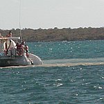 P2194916.JPG