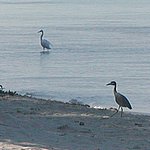 P2204925.JPG