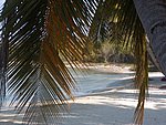 P2204926.JPG