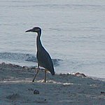 P2204928.JPG