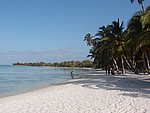 P2204933.JPG
