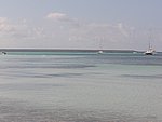 P2204945.JPG