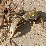P2204957.JPG