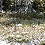 P2204960.JPG