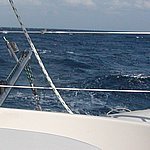 P2204976.JPG