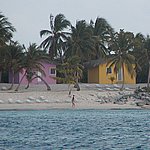 P2204984.JPG