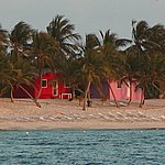 P2214988.JPG