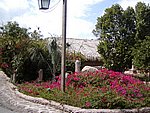 P2215042.JPG