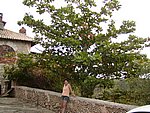 P2215071.JPG