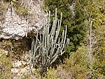 P2215078.JPG