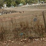 P2215095.JPG