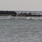 P2215102.JPG