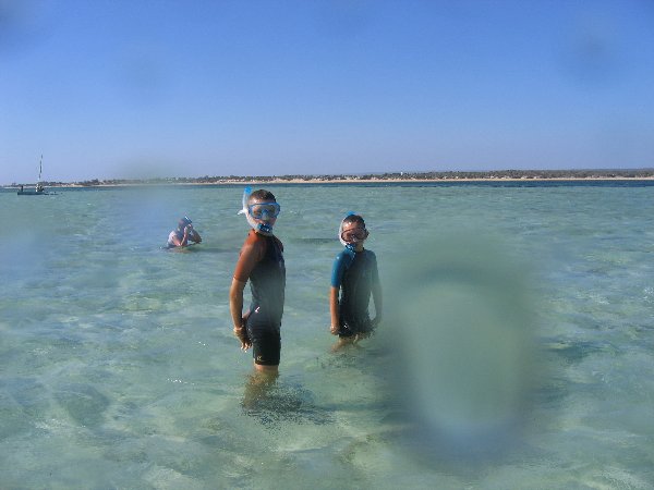 img_6698.jpg img_6698.jpg