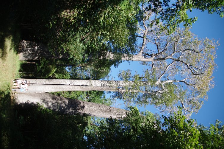IMGP2474.jpg