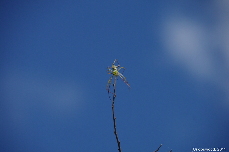 IMGP2752.jpg