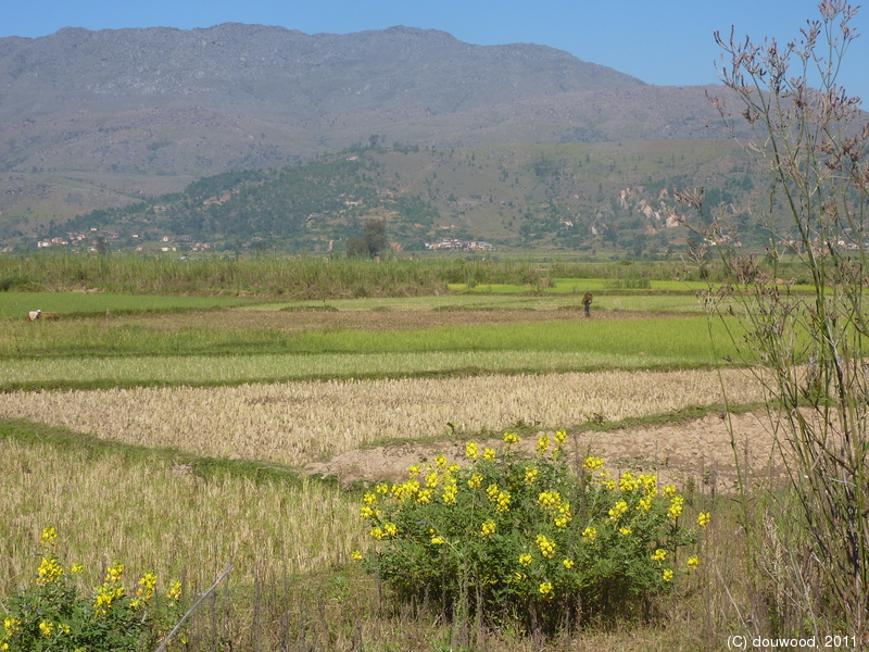 P1050486.jpg