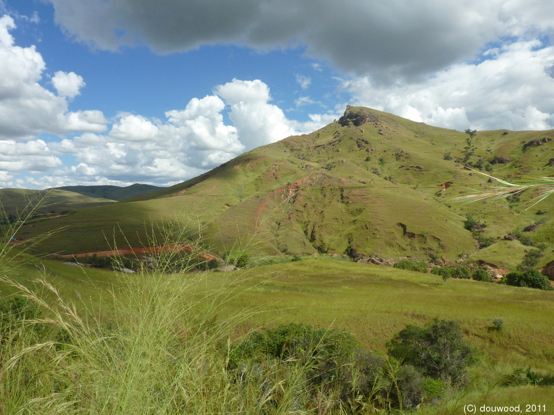 P1050873.jpg