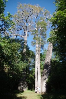 IMGP2474.jpg