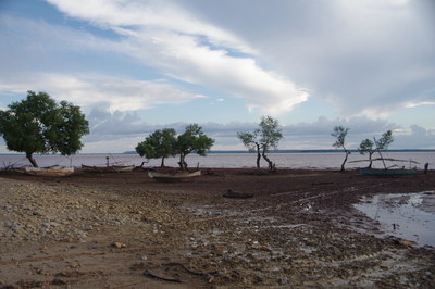 IMGP2604.jpg