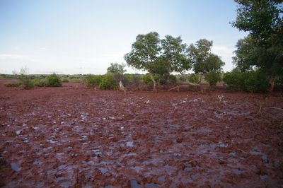 IMGP2609.jpg