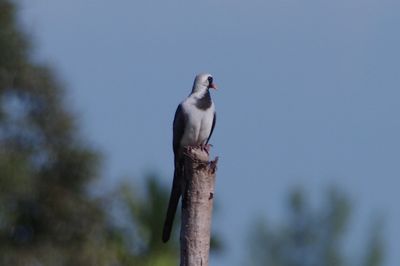 IMGP2711b.jpg