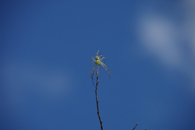 IMGP2752.jpg