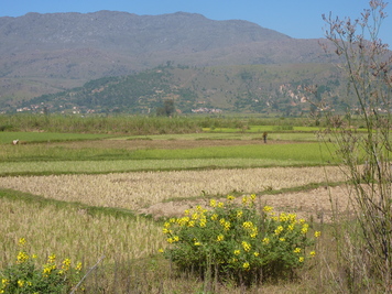 P1050486.jpg