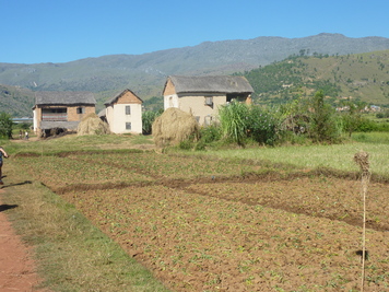 P1050499.jpg
