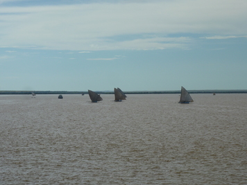 P1050654.jpg