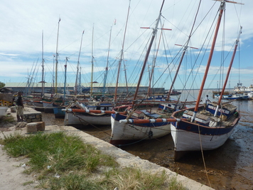 P1050660.jpg