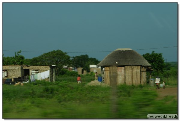 IMGP7403.jpg