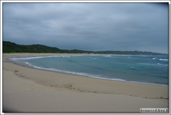 IMGP7436.JPG