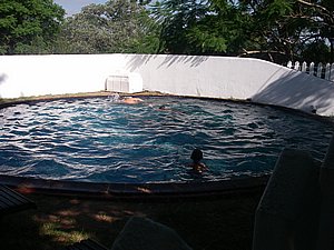 IMGP3552.JPG