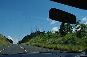 IMGP6114.JPG